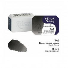 Виноградная черная акварельная краска, кювета 2.5 мл., ROSA Gallery 747 Виноградная черная акварельная краска, кювета 2.5 мл., ROSA Gallery 747