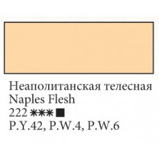 Неаполітанська тілесна олійна фарба, 46 мл., Ладога 222